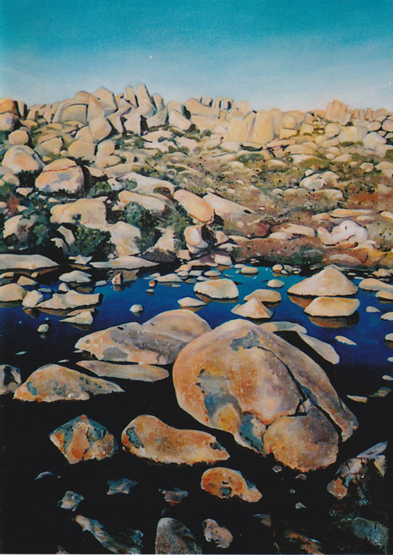 Susan Bleakley Sculptor Painter - The Summit Mount Wellington - Painting