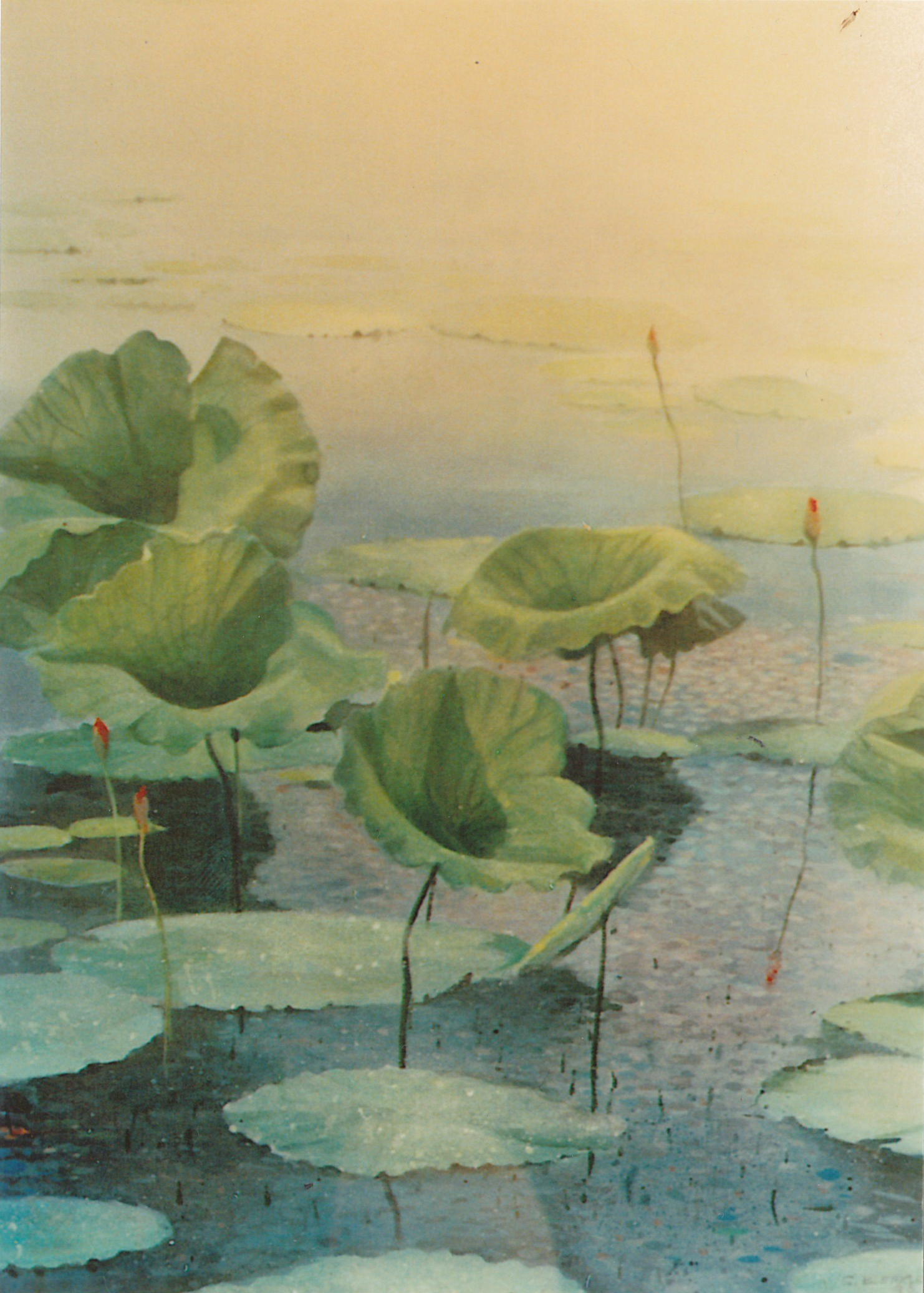 Susan Bleakley Sculptor Painter - Water Lilies Kakadu - Painting